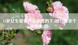 15岁女生宿舍产子惊慌扔下5楼：并非个别现象(图)