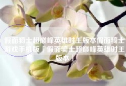 假面骑士超巅峰英雄时王版本假面骑士游戏手机版「假面骑士超巅峰英雄时王版本」