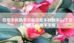 百度手机助手平板百度手机助手app下载「百度手机助手平板」