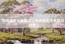 如何加密手机软件（如何加密手机软件安卓）