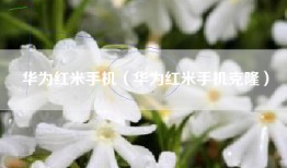 华为红米手机（华为红米手机克隆）