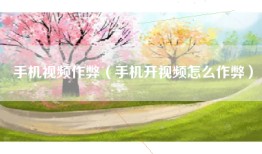 手机视频作弊（手机开视频怎么作弊）