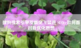 搜狗搜索引擎发展突飞猛进 SEOer如何面对新优化思想