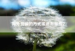 海外营销的方式渠道有哪些？