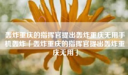 轰炸重庆的指挥官提出轰炸重庆无用手机轰炸「轰炸重庆的指挥官提出轰炸重庆无用」