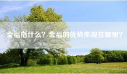 金福指什么？金福的优势体现在哪里？