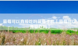 蓝莓可以直接吃吗蓝莓手机「蓝莓可以直接吃吗」