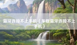 蓝牙连接不上手机（车载蓝牙连接不上手机）