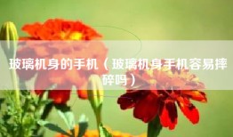 玻璃机身的手机（玻璃机身手机容易摔碎吗）