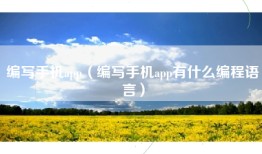 编写手机app（编写手机app有什么编程语言）