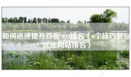 如何迅速提升百度SEO排名（6个技巧帮你优化网站排名）
