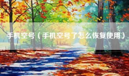 手机空号（手机空号了怎么恢复使用）