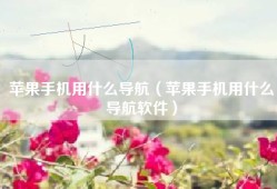 苹果手机用什么导航（苹果手机用什么导航软件）