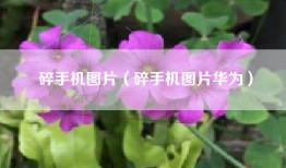 碎手机图片（碎手机图片华为）