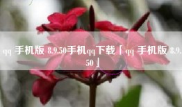 qq 手机版 8.9.50手机qq下载「qq 手机版 8.9.50」