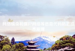 网络蠕虫和僵尸网络等恶意代码防范技术原理