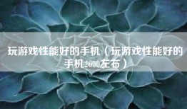玩游戏性能好的手机（玩游戏性能好的手机2000左右）