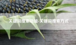 关键词搜索功能-关键词搜索方式
