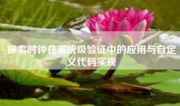 探索时钟在系统级验证中的应用与自定义代码实现