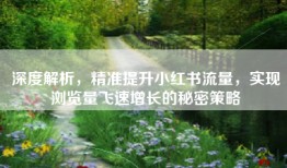 深度解析，精准提升小红书流量，实现浏览量飞速增长的秘密策略