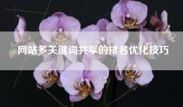 网站多关键词共享的排名优化技巧