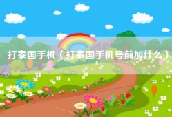 打泰国手机（打泰国手机号前加什么）