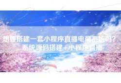 想要搭建一套小程序直播电商系统吗？ 系统源码搭建+小程序直播