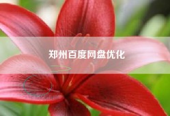 郑州百度网盘优化
