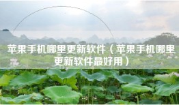 苹果手机哪里更新软件（苹果手机哪里更新软件最好用）