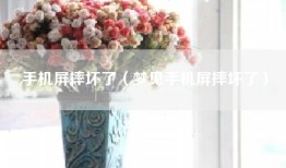 手机屏摔坏了（梦见手机屏摔坏了）
