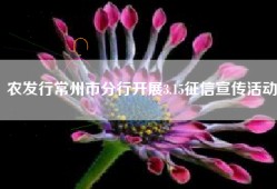 农发行常州市分行开展3.15征信宣传活动