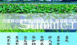 百度移动端关键词排名点击_百度移动关键词排名提升