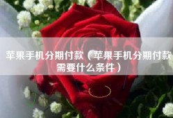 苹果手机分期付款（苹果手机分期付款需要什么条件）