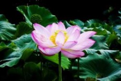 去北京玩5天要多少钱,北京旅游5天费用(1000元／人)看完避坑省钱