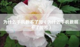 为什么手机截不了图（为什么手机截屏不了图片）