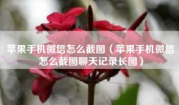 苹果手机微信怎么截图（苹果手机微信怎么截图聊天记录长图）