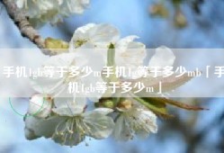 手机1gb等于多少m手机1g等于多少mb「手机1gb等于多少m」