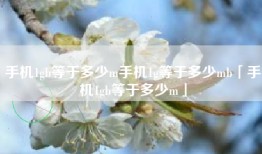 手机1gb等于多少m手机1g等于多少mb「手机1gb等于多少m」