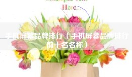 手机屏幕品牌排行（手机屏幕品牌排行前十名名称）