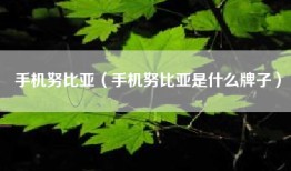 手机努比亚（手机努比亚是什么牌子）