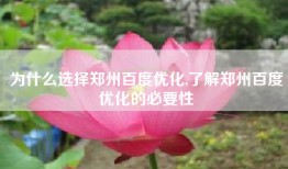 为什么选择郑州百度优化,了解郑州百度优化的必要性