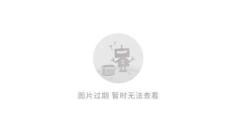诺基亚WP7领衔 非Android智能手机推荐windows7手机版「诺基亚WP7领衔 非Android智能手机推荐」