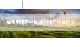 惠州市推广平台-惠州推广平台排行
