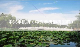 中兴手机拆（中兴手机拆机图解）