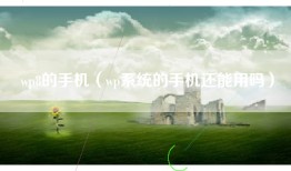 wp8的手机（wp系统的手机还能用吗）