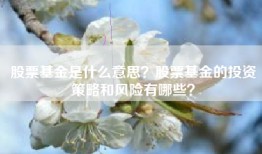 股票基金是什么意思？股票基金的投资策略和风险有哪些？
