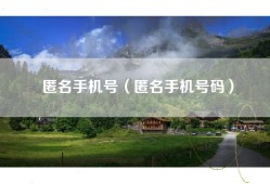 匿名手机号（匿名手机号码）