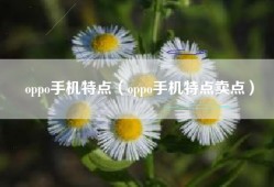 oppo手机特点（oppo手机特点卖点）