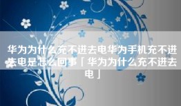 华为为什么充不进去电华为手机充不进去电是怎么回事「华为为什么充不进去电」