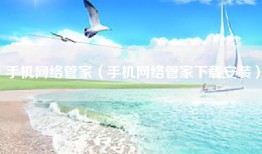 手机网络管家（手机网络管家下载安装）
